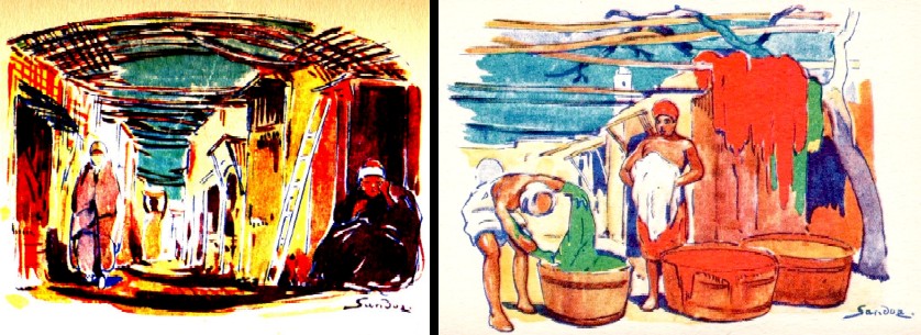 North African Post Cards